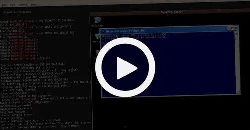 黑客在线视频.,网络安全的暗流涌动