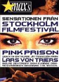 红粉监狱 在线视频,揭秘女性囚犯的生存困境