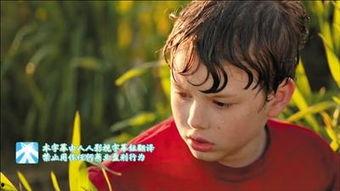 renrenav 在线视频