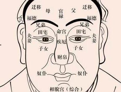 安徽面相在线视频