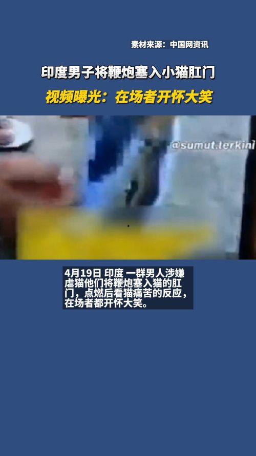 猛男肛门在线视频观看,一场禁忌的视觉盛宴